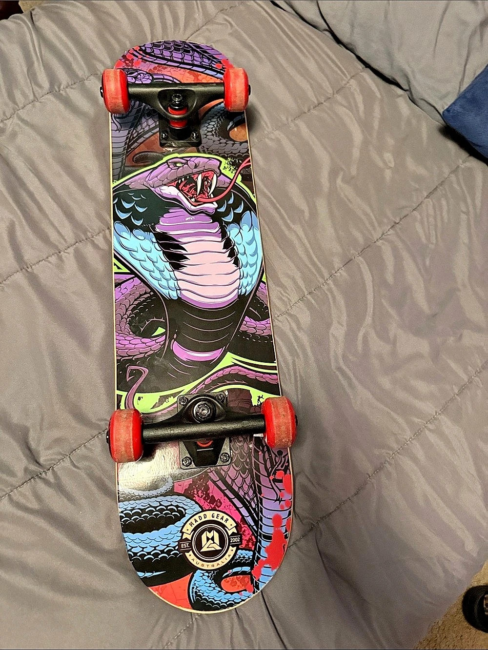 The Skate Room Skateboard Black & Blue